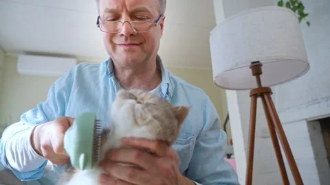 Middle-aged man brushing a fluffy cat Stock Footage 306741494