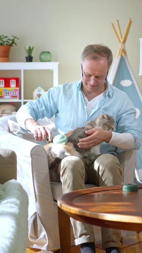 Middle-aged man brushing a fluffy cat Stock Footage 306744999