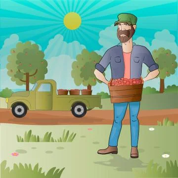 Middle aged man-farmer with box of fruits Stock Illustration