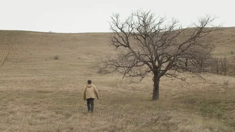 A middle aged man goes to a tree and sits under it. Late fall Stock Footage 239170670