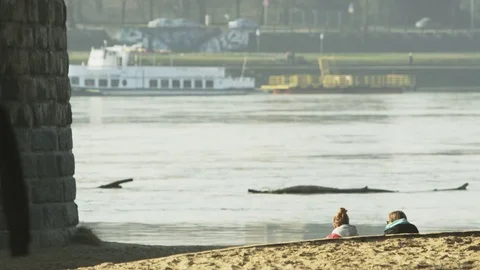 Middle-Aged Man in Grey Clothes Walking Along the River Stock Footage 80286636