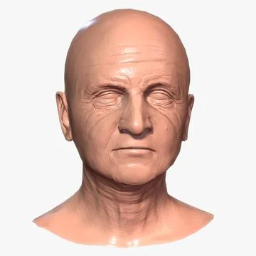 Middle Aged Man - Head 3D Model
