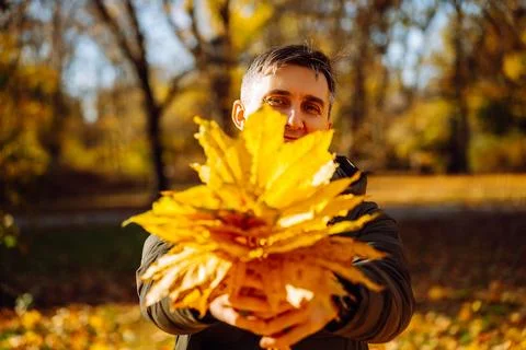 Middle-aged man holding maple leaves in front of face in a park Stock Photos