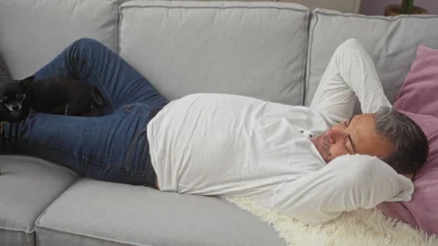 A middle-aged man lying on a couch at home with two small chihuahuas playin.. Stock Footage 278276356