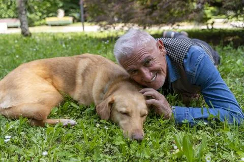 Middle aged man lying in the grass of a park enjoying happy moments with hi.. Stock Photos