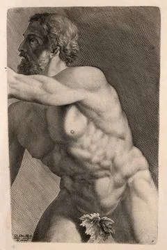 A middle aged man, nude: frontal view. Engraving by J.D. Herz after himself.. Stock Illustration