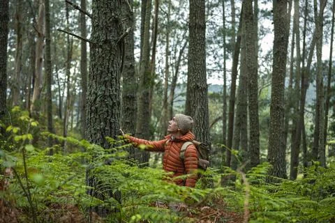 Middle-aged man with orange jacket and cap admiring and touching a tree tru.. Stock Photos