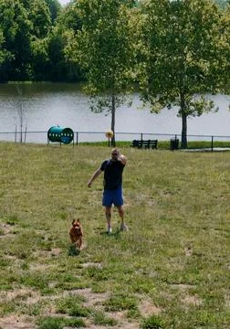 Middle Aged Man Playing Fetch with a Lazy Dog Stock Photos