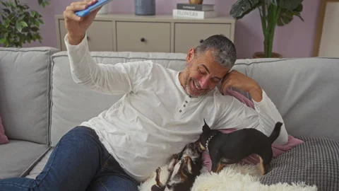 A middle-aged man playing with two chihuahua dogs on a couch in a cozy livi.. Vídeos de archivo 285100398