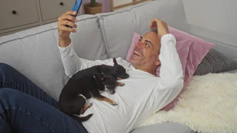 Middle-aged man relaxing on a couch with two chihuahuas on his chest while .. Stock Footage 278276256