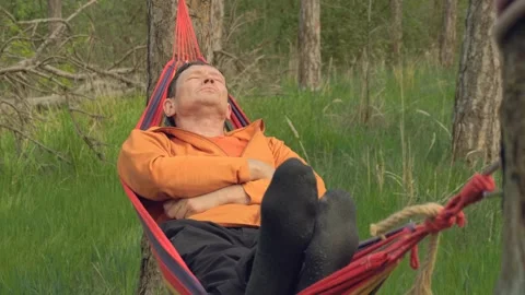 A middle-aged man resting in a hammock in the forest Stock Footage 333902010