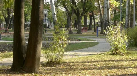 Middle-aged man running in park Vidéo 12434155