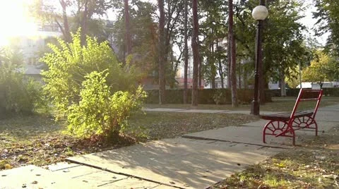 Middle-aged man running in park Vidéo 12434185