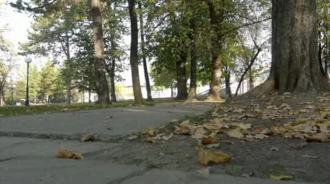 Middle-aged man running in park Vidéo 12434340