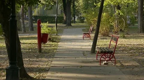 Middle-aged man running in park Vidéo 12434355