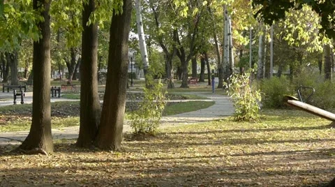 Middle-aged man running in park 3 Vidéo 12434403