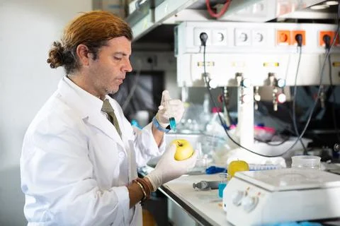 Middle-aged man scientist in lab coat checking fruits for harmful elements Stock Photos