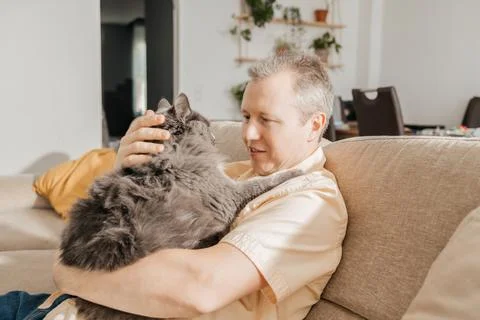 A middle-aged man sits with a gray cat on the sofa in the living room and Stock Photos
