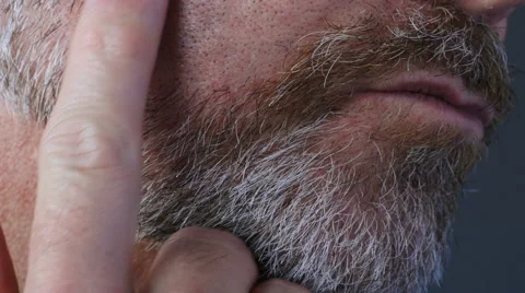 Middle aged man srokes beard Video stock 61757804