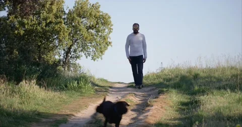 Middle-aged man taking a walk in the countryside at sunset with his Labrador Stock Footage 154636486