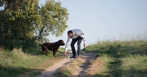 Middle-aged man taking a walk in the countryside at sunset with his Labrador Stock Footage 155276589