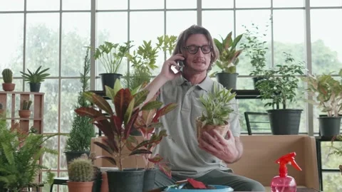 A middle-aged man is talking on phone and gardening a tree in the living room. Stock Footage 140033870