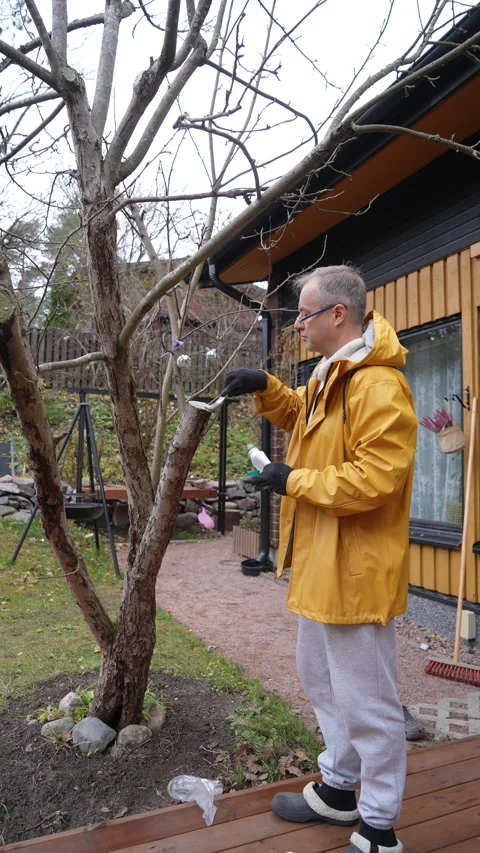 A middle-aged man tends to his garden in autumn Stock Footage 303783365