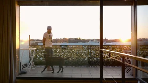 Middle-aged man training obedience playing with his dog Stock Footage 127588562