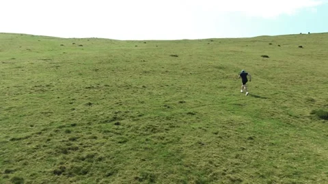 Middle-aged man trains by running up a green hill on a sunny summer's day. Stock Footage 160618631