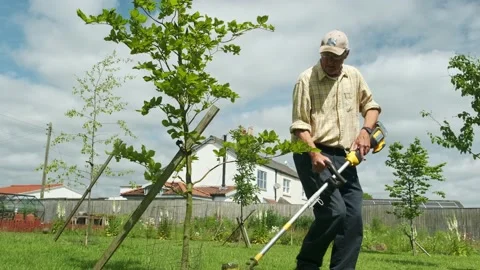 Middle aged man trimming grass on summers day in garden Stock Footage 197128958