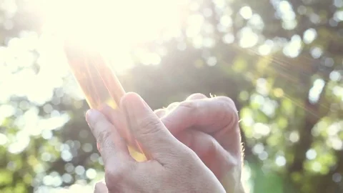 Middle aged man uses smartphone in landscape mode in outdoor summer backyard Stock Footage 77440724