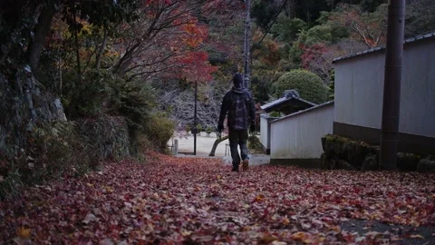 Middle-Aged Man Walking Away From Camera. Stock Footage 224671166