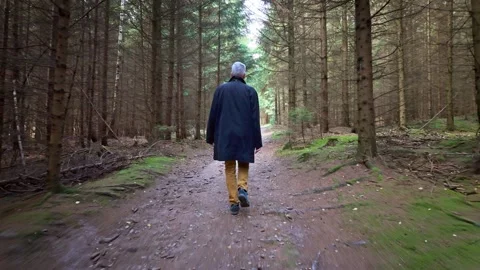 Middle aged man Walking Through a Forest Path Stock Footage 290701280