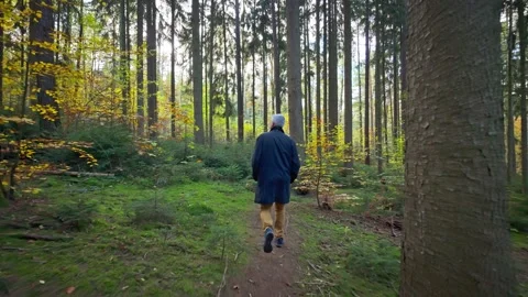Middle aged man Walking Through a Forest Path Stock Footage 290763466