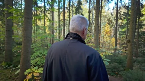 Middle aged man Walking Through a Forest Path Stock Footage 290763868