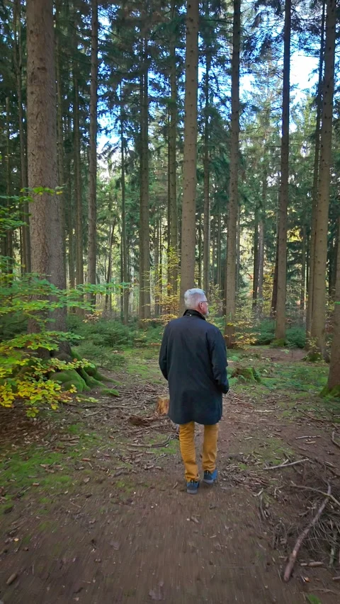 Middle aged man Walking Through a Forest Path Stock Footage 290775692