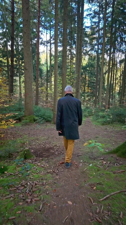Middle aged man Walking Through a Forest Path Stock Footage 290776364