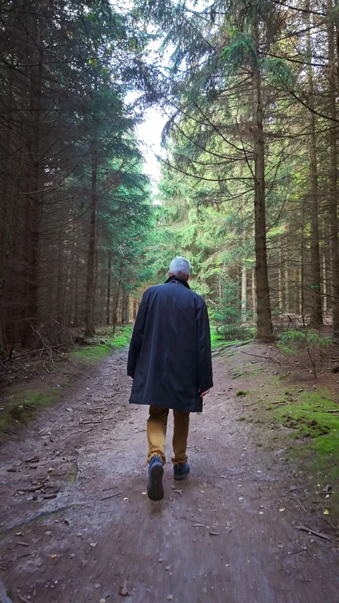 Middle aged man Walking Through a Forest Path Stock Footage 290776586