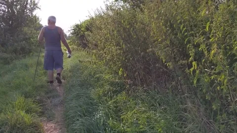 A middle-aged man walks along a forest road. Stock Footage 201675967