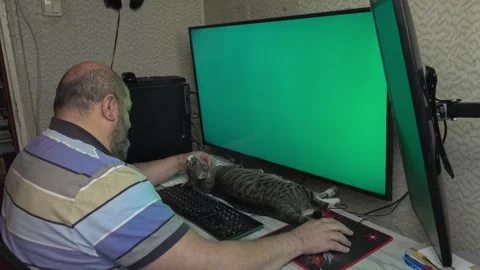 Middle-Aged Man Working on Laptop with Cat Resting on Desk Video stock 336542074