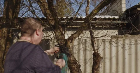 A middle-aged man works in the garden, sawing a dry tree branch with a Stock Footage 332373375
