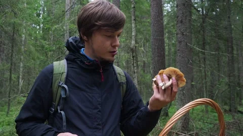 Middle aged mushroom picker man sniffs mushrooms and puts them into the wicker Stock Footage 159609073