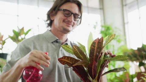 Middle aged or mature man planting tree at home, Aging society Stock-Footage 139328016