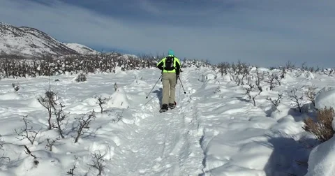 Middle-aged runner and his dog snowshoeing Stock-Footage 62348025