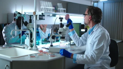 Middle aged scientist examining cell meat near colleagues Stock Footage 156500931