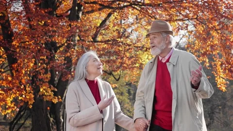 Middle aged spouses enjoying time together in beautiful autumn park. Happy old Stock Footage 202180819