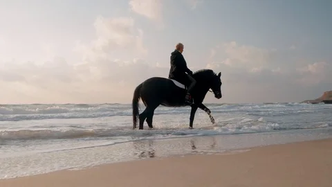 Middle aged woman with short haircut is carefully riding black horse on the Stock Footage