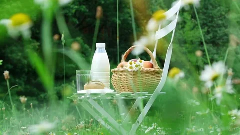 In the middle of a chamomile lawn, on a white chair is a bottle of milk, a Stock Footage