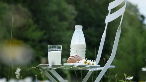 In the middle of a chamomile lawn, on a white chair is a bottle of milk, Also Stock Footage