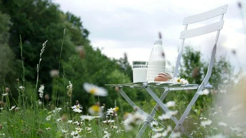In the middle of a chamomile lawn, on a white chair is a bottle of milk, Also Stock Footage